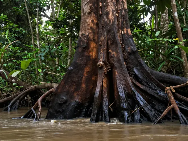Apa Kayu Terkuat di Indonesia? Ini Jawaban Nyata dari Ulin Kalimantan