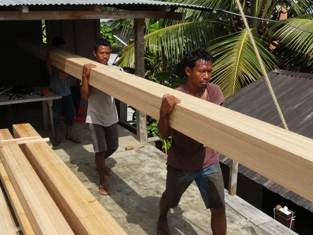 Apa Kekurangan Kayu Bengkirai? Ini 7 Masalah Nyata yang Harus Anda Tahu Sebelum Pakai