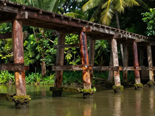 Berapa Lama Kayu Ulin Bertahan? Jawaban Lengkap untuk Konstruksi Tahan Lama