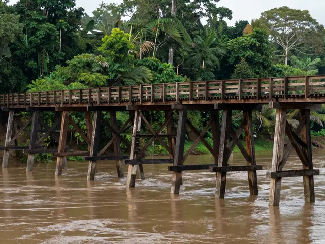 Kayu Ulin Bisa Digunakan untuk Apa? 7 Penggunaan Nyata yang Wajib Tahu