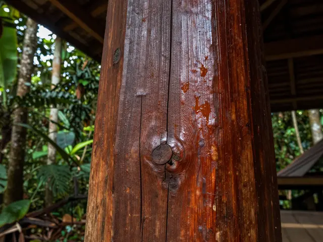 Kayu Ulin Termasuk Kelas Berapa? Ini Jawaban Lengkap dan Fakta Terbarunya